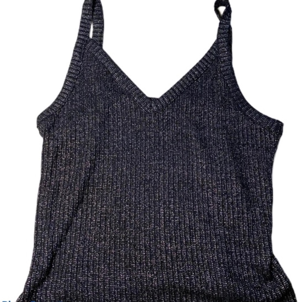 American Eagle Soft and Sexy Ribbed Metallic Tank